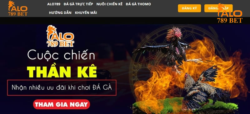 ALO789 là nhà cái trực tiếp đá gà Thomo hôm nay uy tín