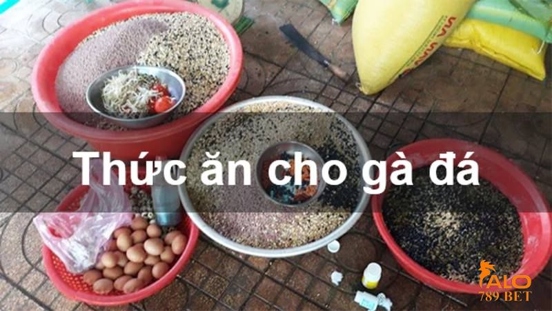 Cung cấp chất dinh dưỡng cho gà khỏe mạnh, hung hãn hơn