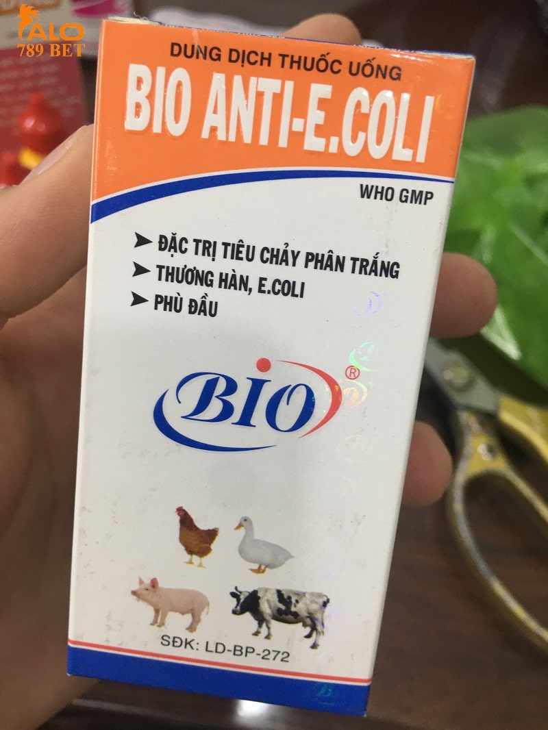 ANTI E.COLI sử dụng liều lượng phù hợp để trị bệnh bạch lỵ ở gà hiệu quả 