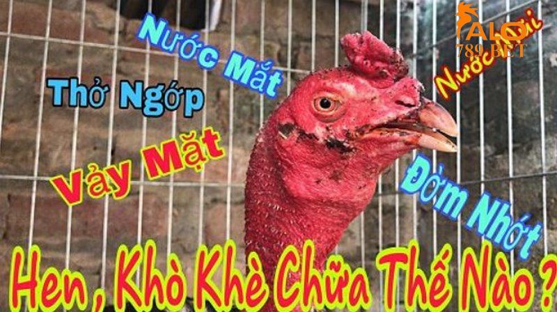 Bệnh hen ở gà chọi