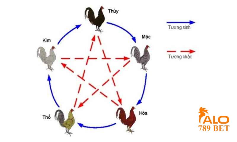 Xem lịch đá gà dựa vào ngũ hành